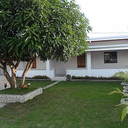 Jasmin'S Room Rental Moalboal Εξωτερικό φωτογραφία